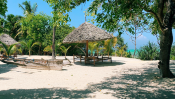 Zanzibar – czy i kiedy warto pojechać?