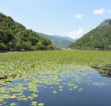 Widok znad tafli wody - Jezioro Szkoderskie