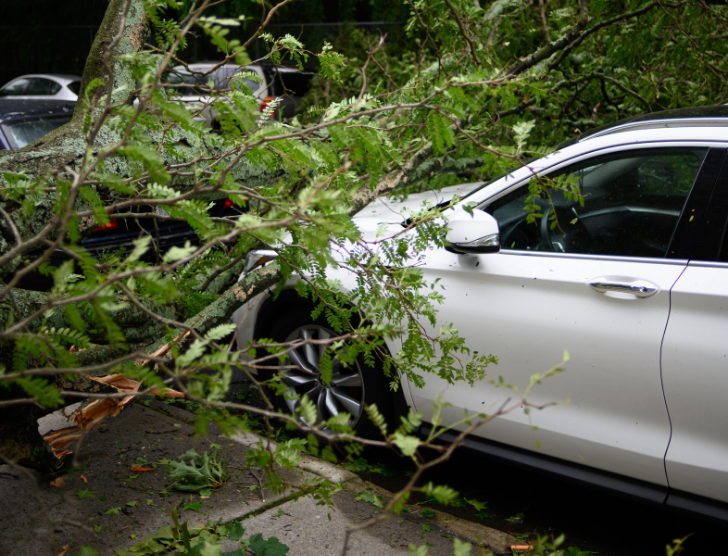 Minicasco (AC mini) – co to jest, co obejmuje i czy warto je wykupić?