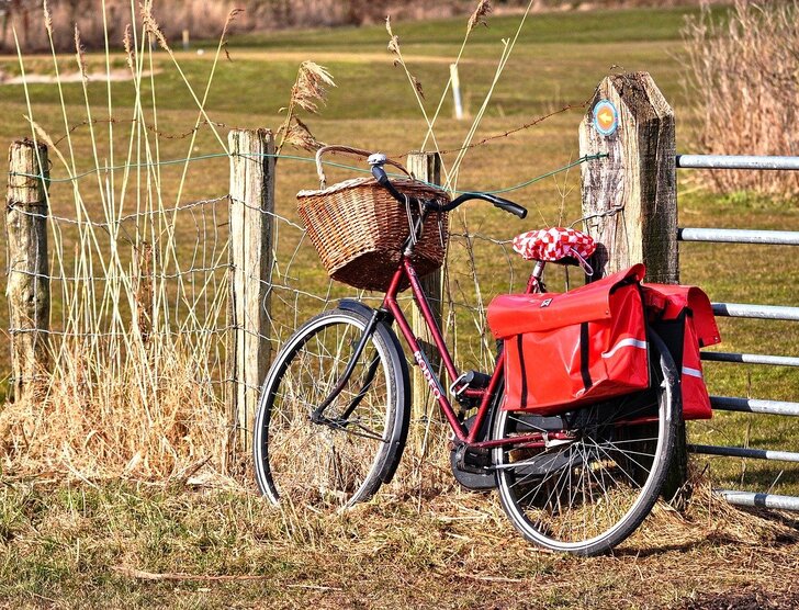 Koszyk lub torba na rower dla psa — wszystko, co musisz o nich wiedzieć