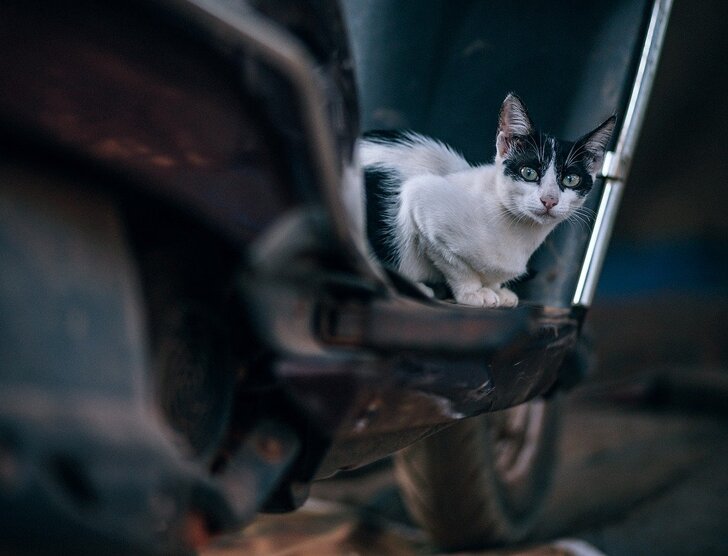 Umowa kupna-sprzedaży motoroweru – wszystko, co musisz wiedzieć