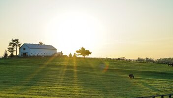 Czy ubezpieczenie budynków rolnych jest obowiązkowe?