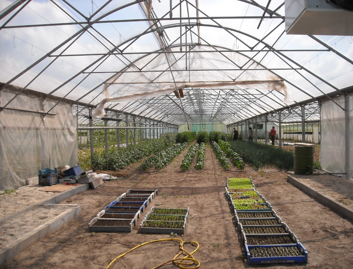 Ubezpieczenie tuneli foliowych – co musisz wiedzieć?