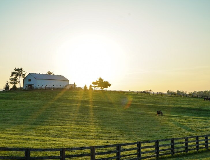 Ubezpieczenie gospodarstwa rolnego – na co zwrócić uwagę?