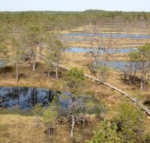 Park Narodowy Lahemaa to doskonałe miejsce na krótki wypad rowerem