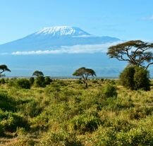 Widok na Kilimandżaro z sawanny w Parku Narodowym Amboseli,