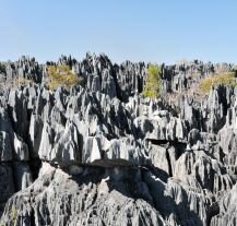 Imponujące skalne formacje w Tsingy de Bemaraha na Madagaskarze.