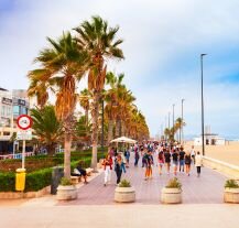 Promenada w Walencji otoczona palmami, z widokiem na plażę i spacerujących turystów.