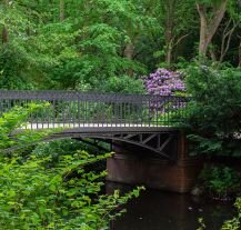 Malowniczy mostek wśród zieleni w berlińskim parku Tiergarten.