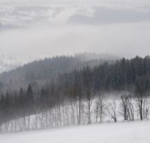 Zimowy krajobraz w ośrodku narciarskim Rokytnice w Czechach.