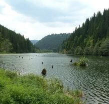 Odkryj malownicze Jezioro Czerwone – unikalną atrakcję przyrodniczą Karpat Rumuńskich.