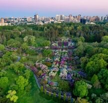 Widok z lotu ptaka na park botaniczny Hryszki w Kijowie.