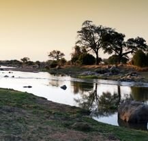 Ruaha – jeden z najpiękniejszych parków narodowych Tanzanii.