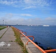  Nadmorska promenada z widokiem na Zatokę Tallińską – popularne miejsce spacerów i rekreacji.