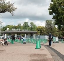 Ogród zoologiczny Ueno Zoo w Tokio.