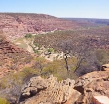Surowy krajobraz Parku Narodowego Kalbarri w Australii
