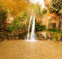 Oaza Ein Gedi w Izraelu