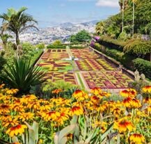 Ogród botaniczny Jardim Botânico da Madeira w Funchal