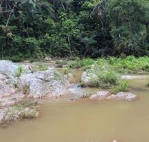 Park Narodowy Topes de Collantes na Kubie