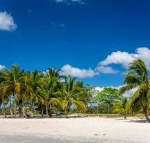 Playa Larga w Zatoce Świń, Kuba