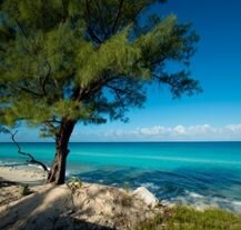 Wyspa Bimini na Bahamach