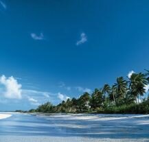 Wyspa Andros na Bahamach