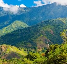 Góry Blue Mountains na Jamajce