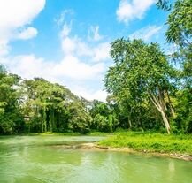 Rzeka Martha Brae na Jamajce