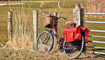 Transporter dla czworonoga — jak wozić psa na rowerze?