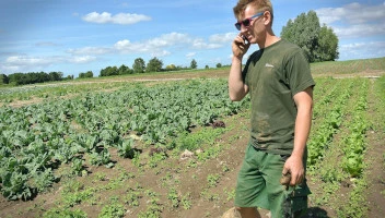 Dofinansowanie dla młodego rolnika – kto może z niego skorzystać i na jakich warunkach?