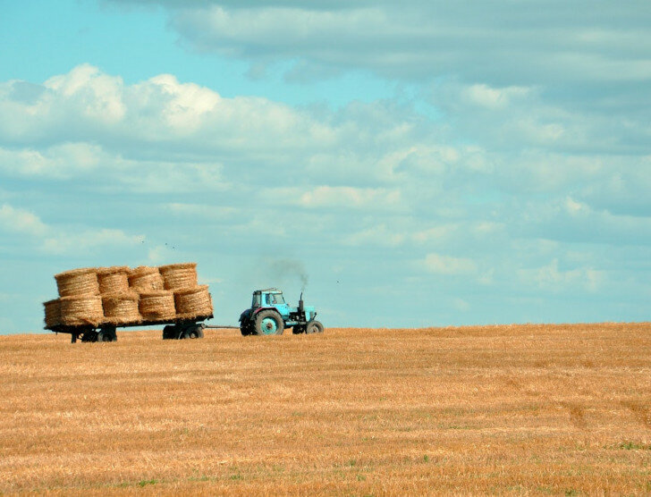 Stawki dopłat od ARiMR w 2022 – na jakie dofinansowanie mogą liczyć rolnicy?