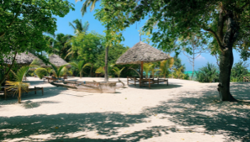Zanzibar – czy i kiedy warto pojechać?