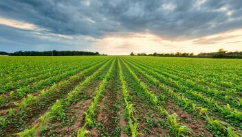 Czy ubezpieczenie upraw jest obowiązkowe?
