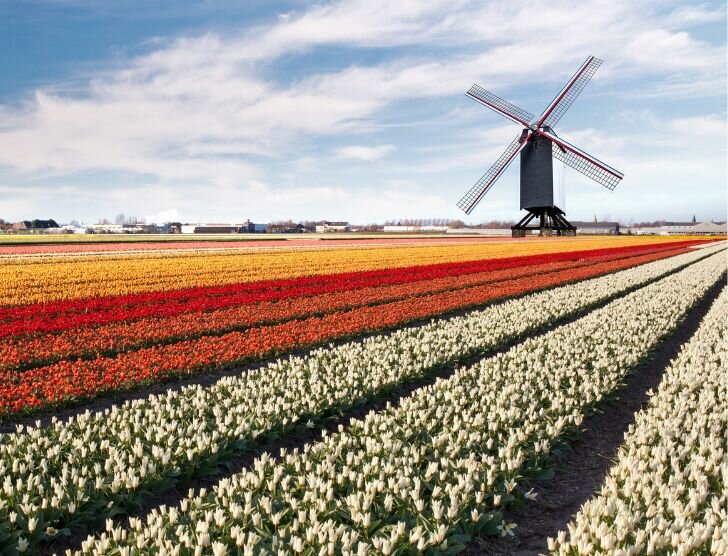 Wybór ubezpieczenia turystycznego do Holandii