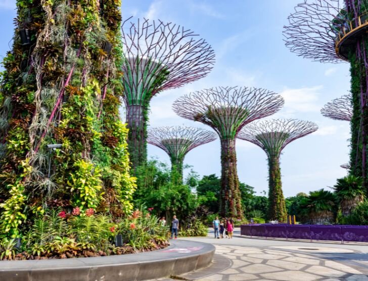 Wakacje w Singapurze – jak zorganizować pobyt?
