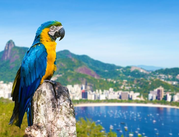 Brazylia – jak zaplanować wakacje i co warto zobaczyć?