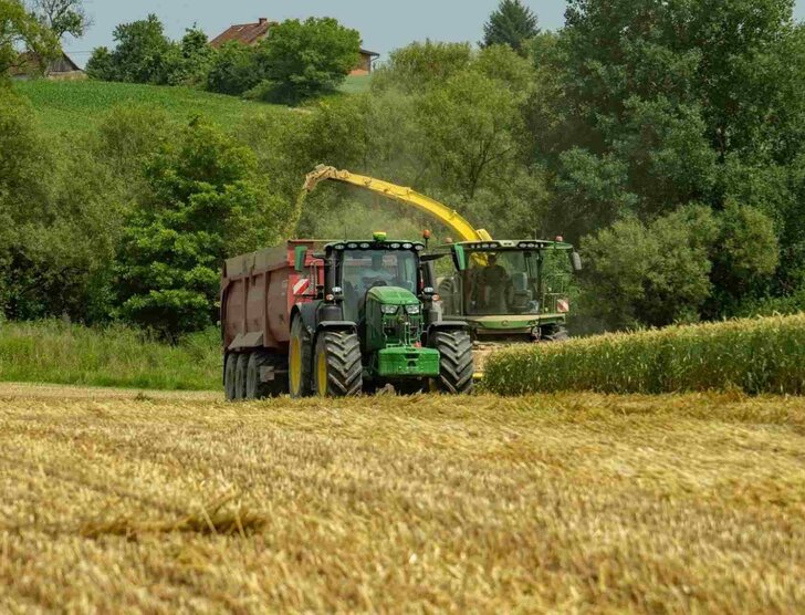 Kara za brak OC rolnika – ile wynosi i kto ją nakłada?